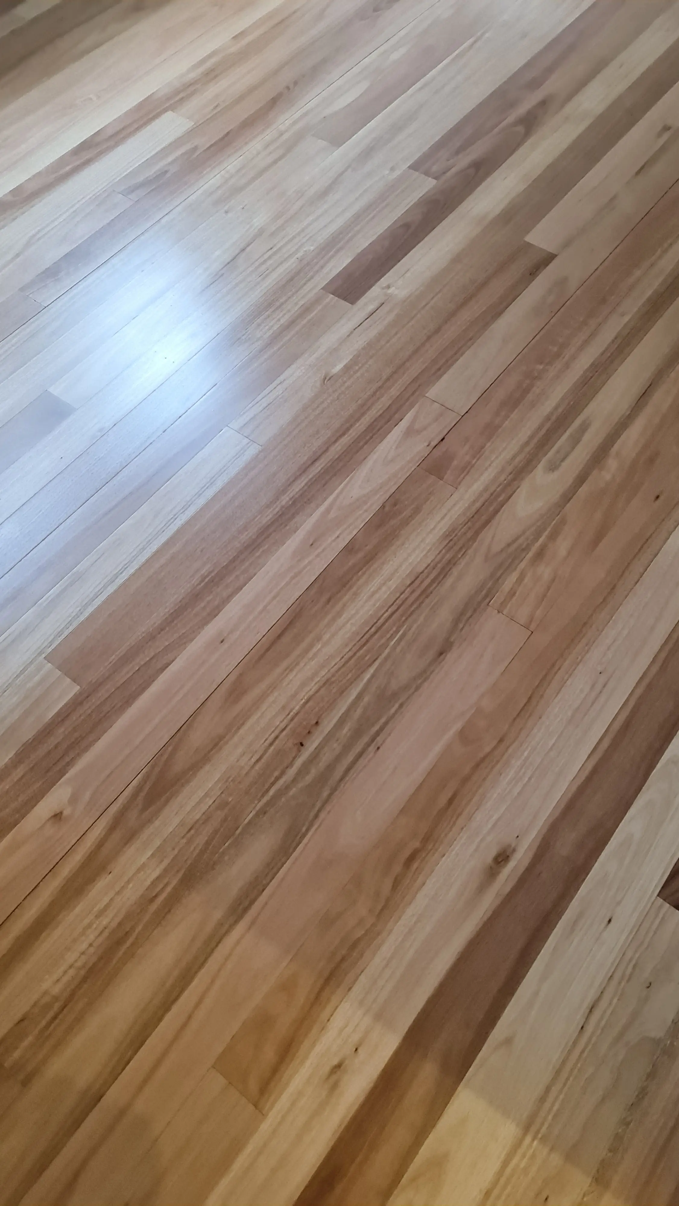 floor sanding and polishing = Newcatle Floor Sanders